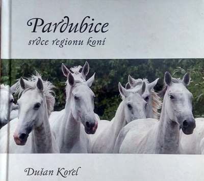 Pardubice – srdce regionu koní