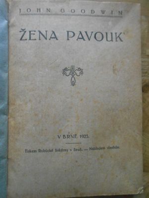 Žena pavouk
