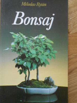 Bonsaj