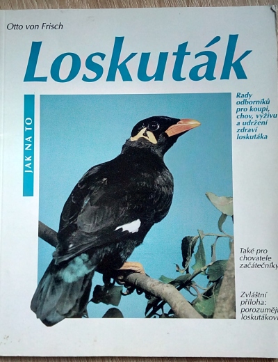 Loskuták