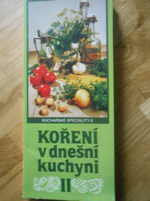 Koření v dnešní kuchyni II