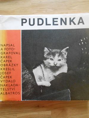 Pudlenka