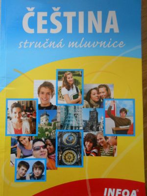 Čeština - stručná mluvnice