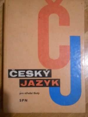 Český jazyk pro střední školy