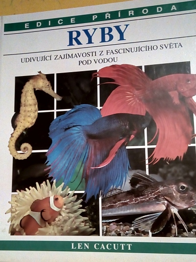 Ryby