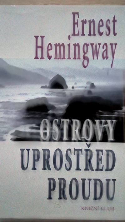Ostrov uprostřed proudu