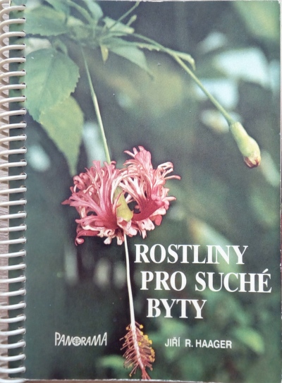 Rostliny pro suché byty