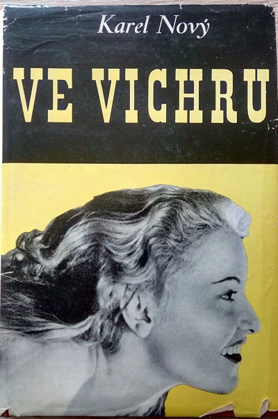 Ve vichru
