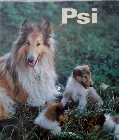 Psi