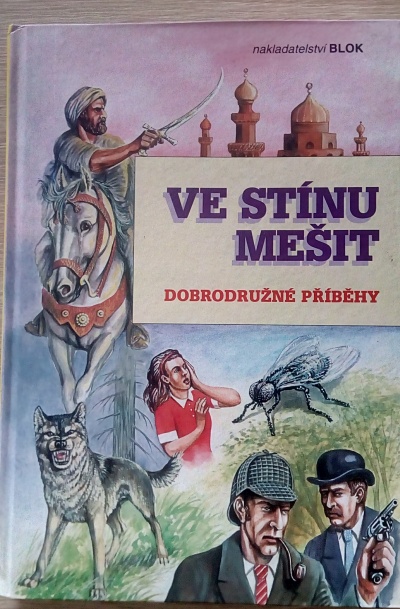 Ve stínu mešit
