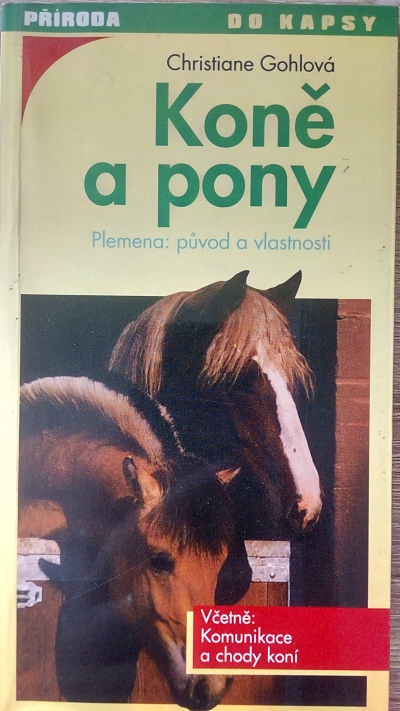 Koně a pony