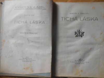 Tichá láska