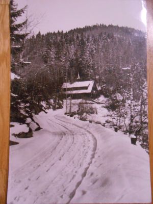 Šumava - Srní