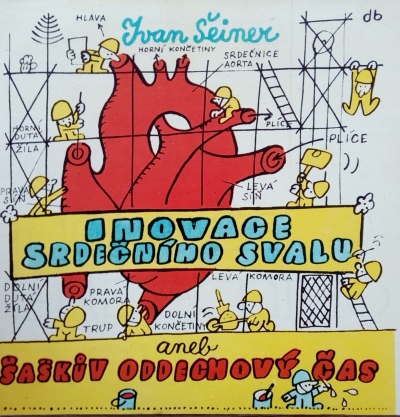 Inovace srdečního svalu aneb šaškův oddechový čas