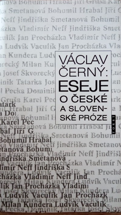 Eseje o české a slovenské próze