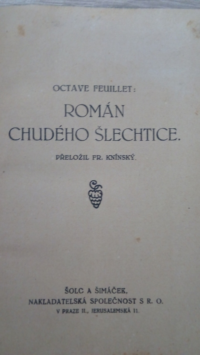 Román chudého šlechtice