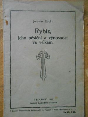 Rybíz, jeho pěstování a výnosnost ve velkém