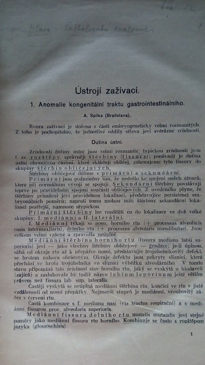 Pathologická anatomie