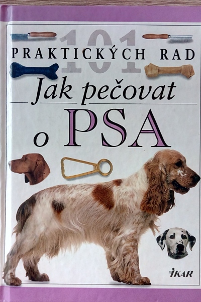 Jak pečovat o psa