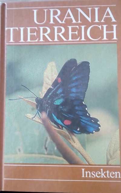Urania Tierreich – Insekten