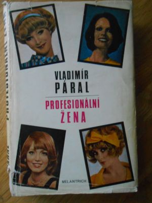Profesionální žena