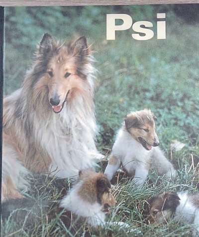 Psi