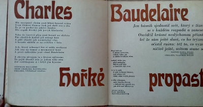 Hořké propasti