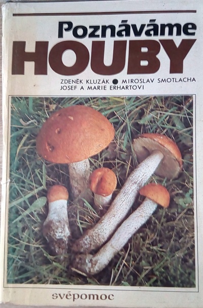 Poznáváme houby