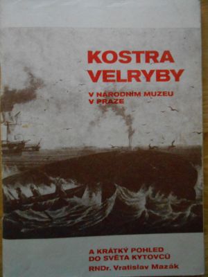 Kostra velryby