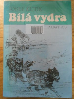Bílá vydra