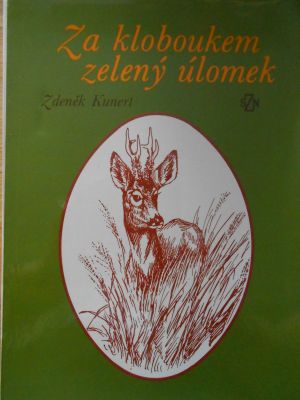 Za kloboukem zelený úlomek