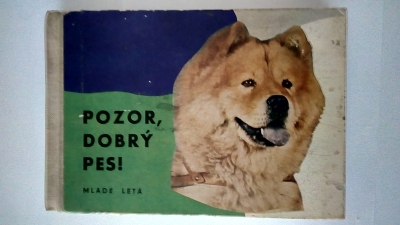 Pozor, dobrý pes!