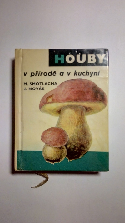 Houby v přírodě a v kuchyni