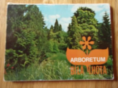 Arboretum Bílá Lhota