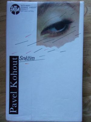 Sněžím