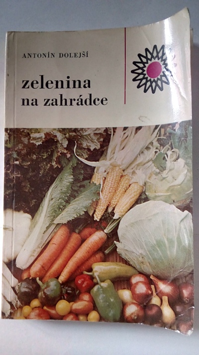 Zelenina na zahrádce