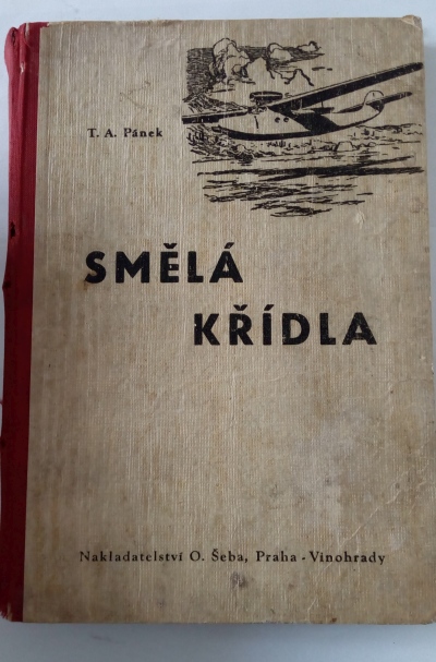 Smělá křídla