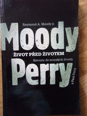 Život před životem