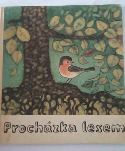Procházka lesem