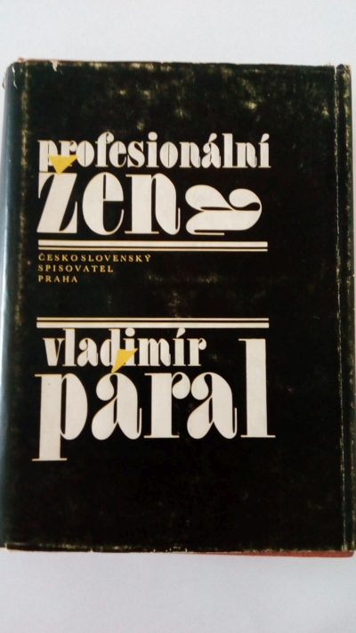 Profesionální žena