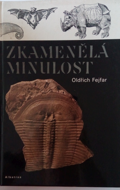 Zkamenělá minulost