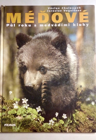 Méďové