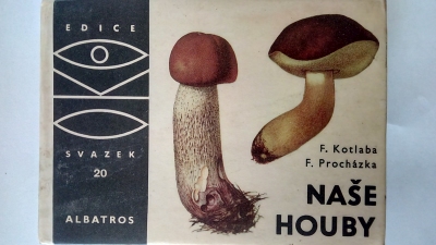 Naše houby
