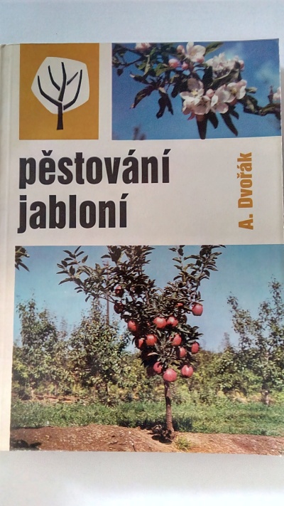 Pěstování jabloní