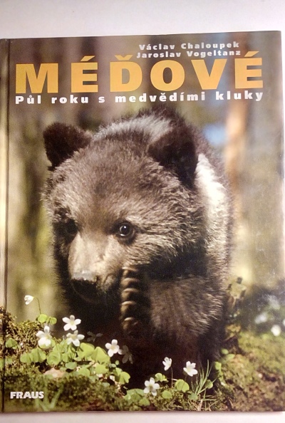 Méďové