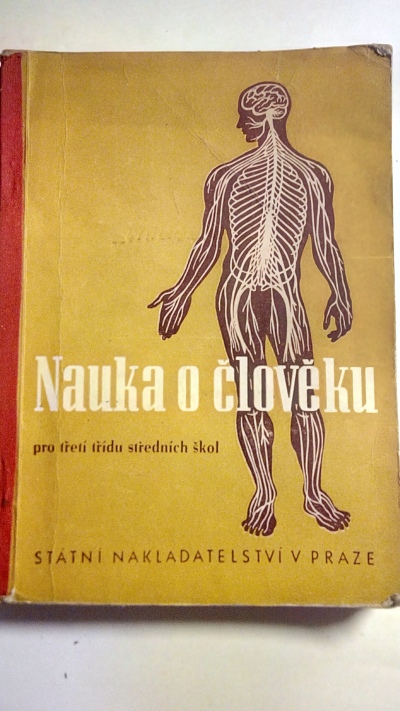 Nauka o člověku