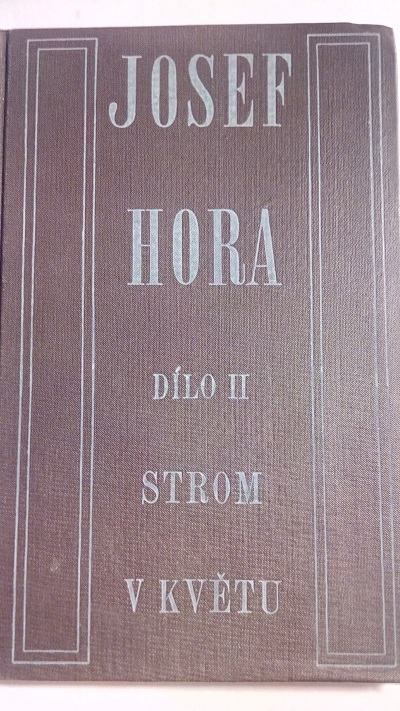 Strom v květu