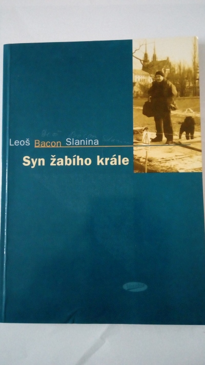 Syn žabího krále