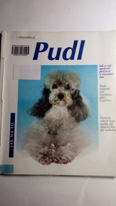 Pudl