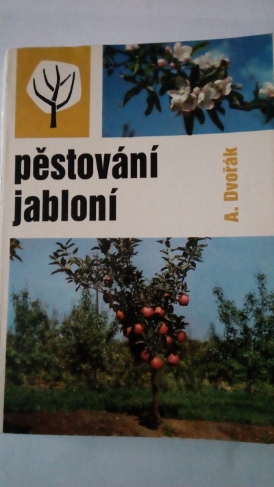 Pěstování jabloní